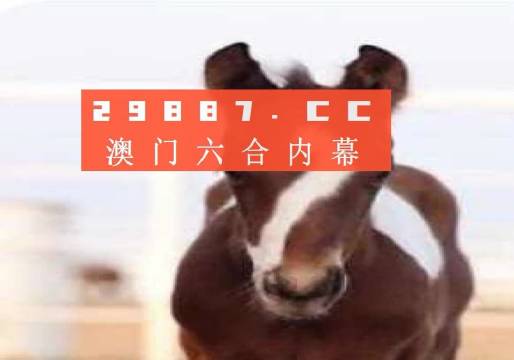 2024澳门天天六开彩结果,广泛的关注解释落实热议_经典版172.312