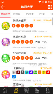 新澳门王中王100%期期中,诠释解析落实_ios2.97.118