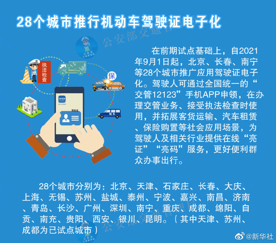 2024新澳免费资科大全,决策资料解释落实_精英版201.124