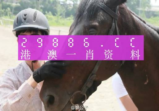 揭秘最准的澳门一肖一码,合理解答解释落实_独家版3.34.41