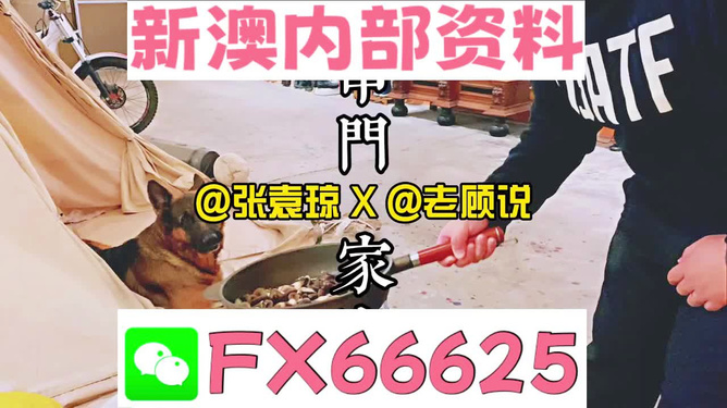 新澳门精准资料大全管家婆料,即时解答解释落实_新手版59.28.23