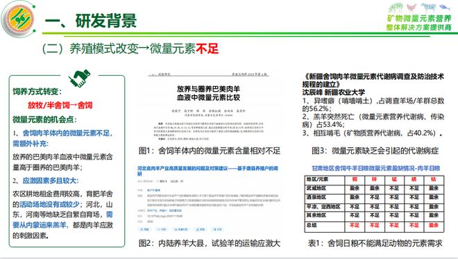 澳门正版资料兔费大全2024,满足解答解释落实_增强版26.86.28