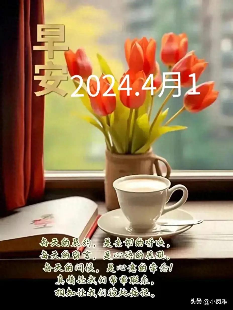 2024年天天彩资料免费大全,优雅解答解释落实_开发版84.98.87