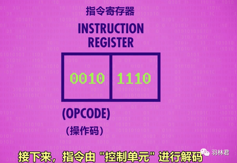 2024年12月20日 第7页