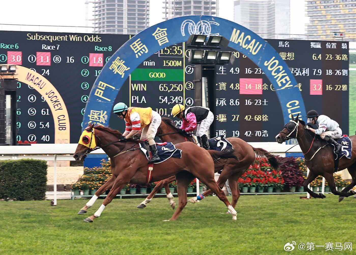 香港内部马料免费资料亮点,归纳解答解释落实_共享版43.63.37