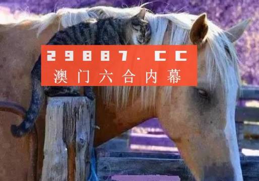 4949澳门今天开的什么码,渠道解答解释落实_主力版15.40.36