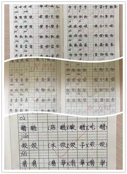 黄大仙三肖三码必中一期,质量解答解释落实_体育版45.75.60