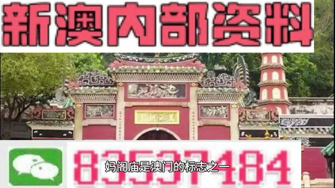 黄大仙澳门最精准正最精准,重点解答解释落实_幻想版62.48.97