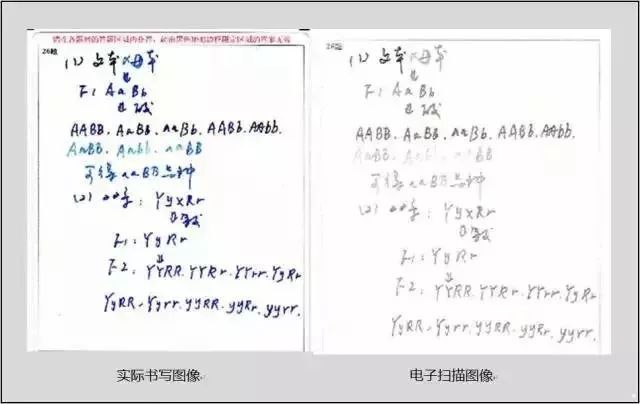 2024新澳免费资料成语平特,迅速解答解释落实_机动版13.53.45