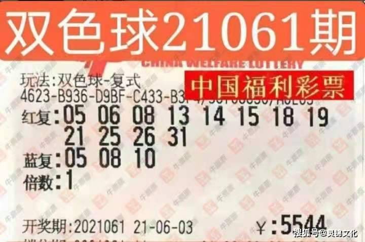 2004新澳精准资料免费提供,理想解答解释落实_回忆版98.41.9