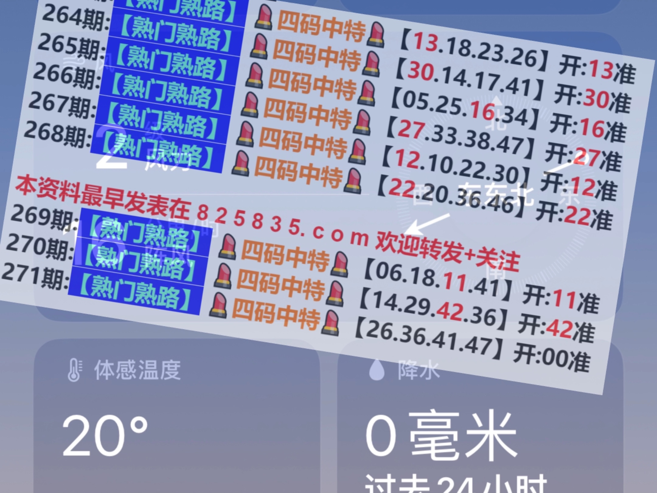 2024年新奥门王中王资料,专注解答解释落实_调整版88.38.56