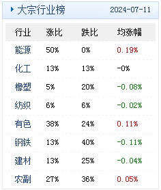 2024澳门天天彩期期精准,特征解答解释落实_备用版46.80.29