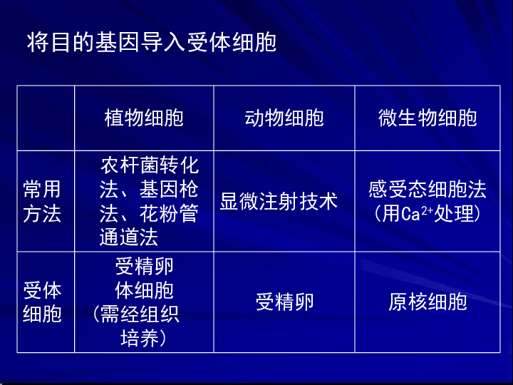 新澳门精准免费大全,科技成语分析落实_HD48.32.12