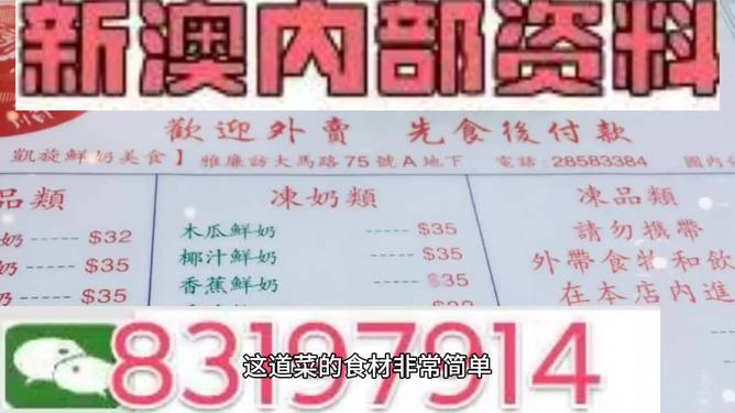 新澳门精准资料大全管家婆料,重要性解释落实方法_极速版49.78.58