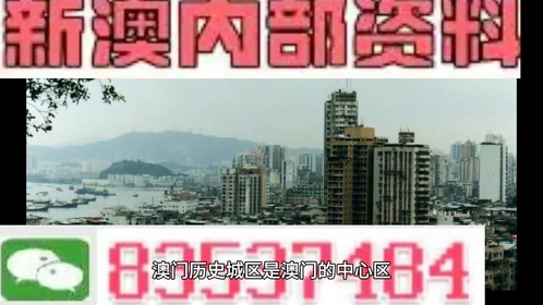 新澳门精准免费资料查看,传承解答解释落实_真实版81.7.84